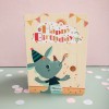 Pop-up book Birthday party - the emotions